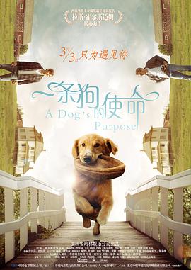 欧美一二区视频